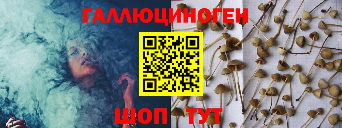 Псилоцибиновые грибы MAGIC MUSHROOMS Новошахтинск