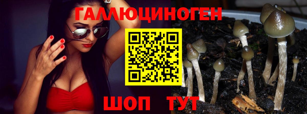 Новошахтинск  Галлюциногенные грибы GOLDEN TEACHER  Вход с VPN 